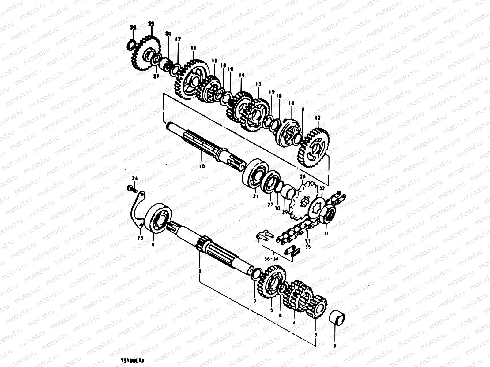 10 - TRANSMISSION