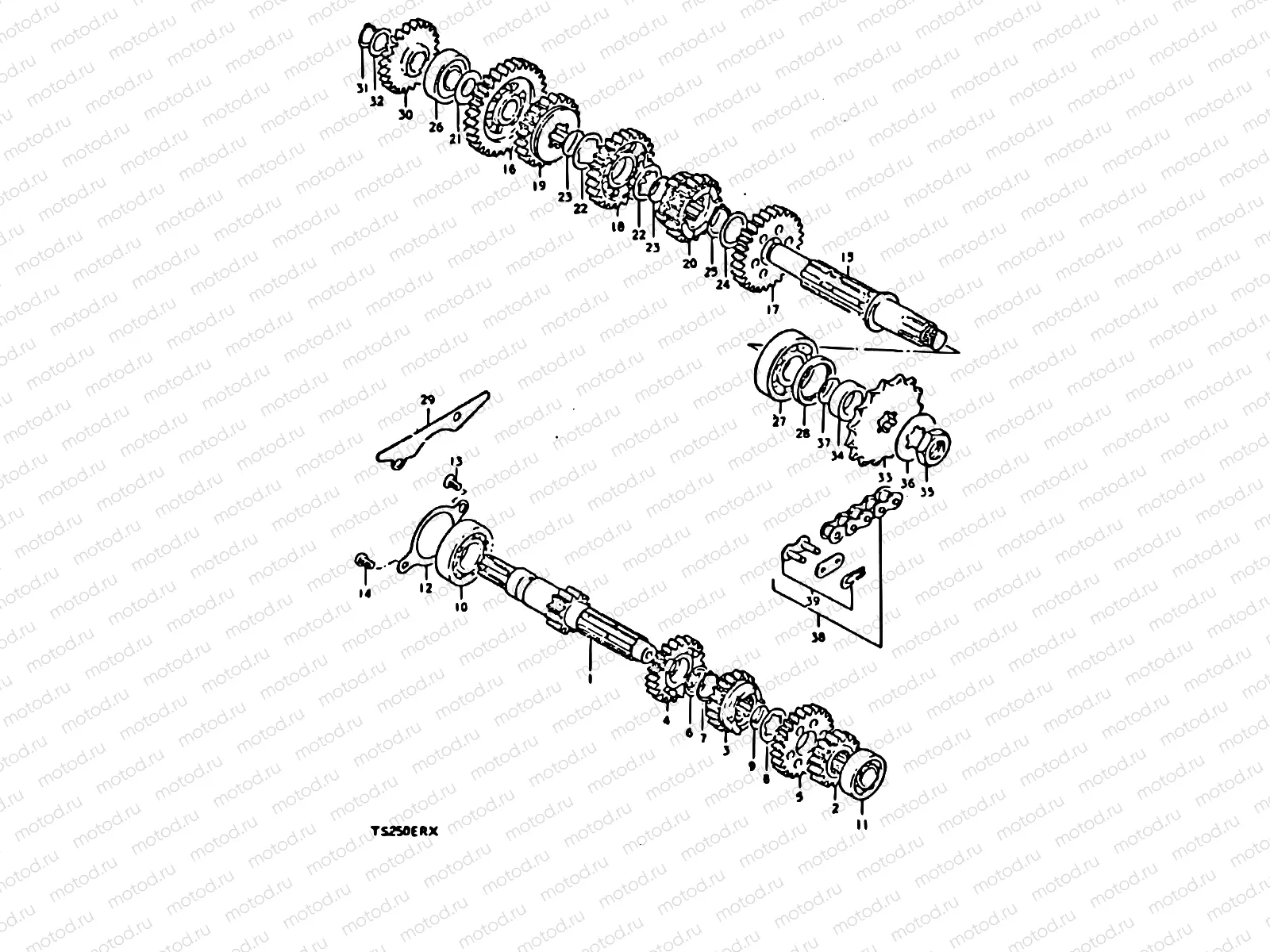 10 - TRANSMISSION
