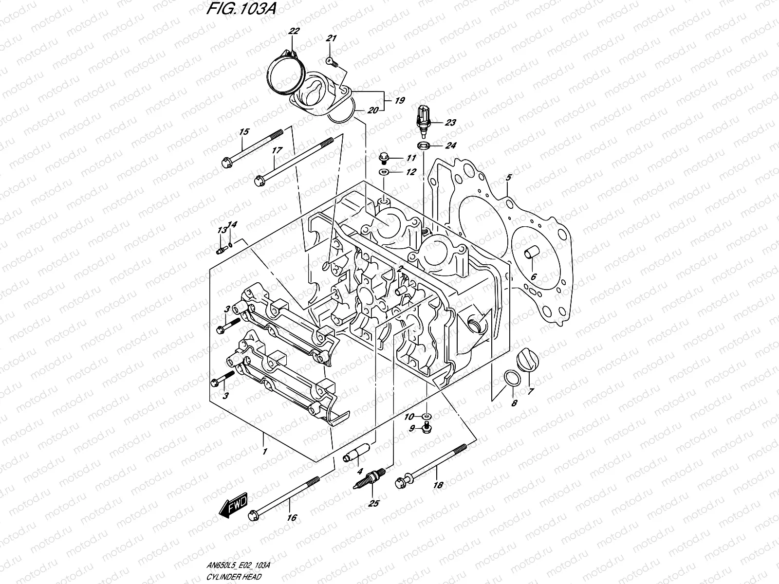 103A - CYLINDER HEAD