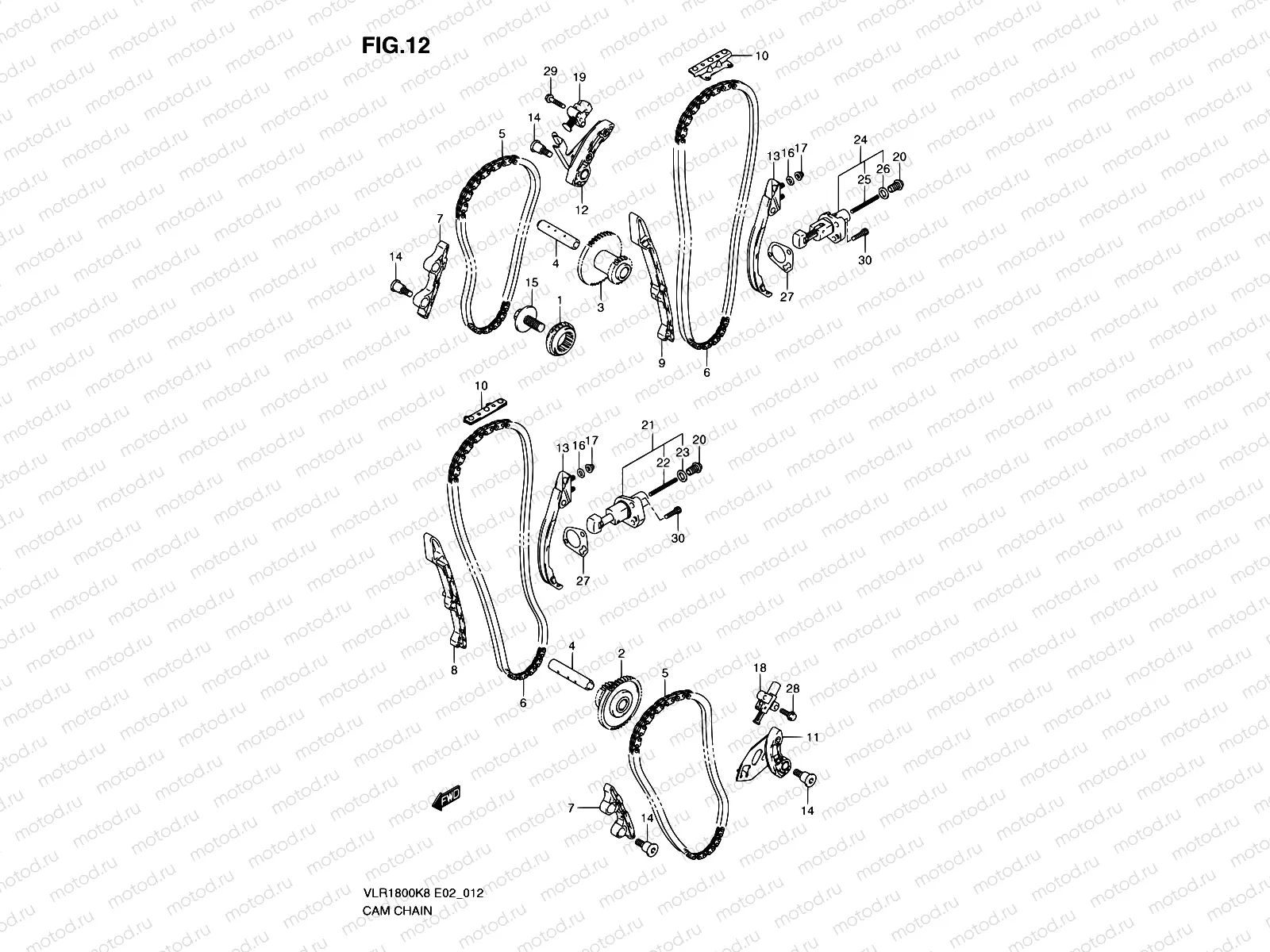 12 - CAM CHAIN