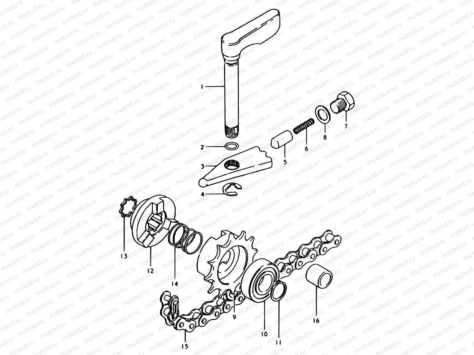 12 - CYCLE SPROCKET