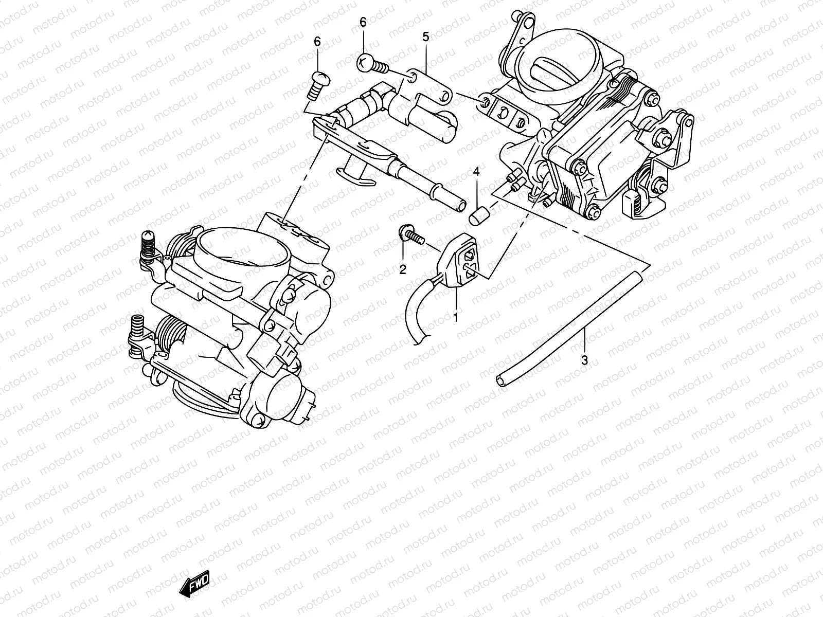 12 - FUEL DELIVERY PIPE
