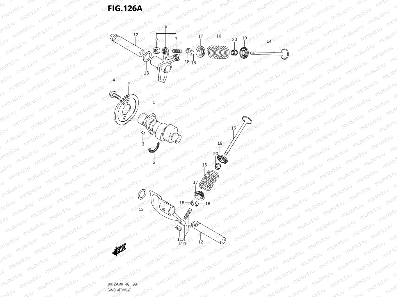 126A - CAMSHAFT & VALVE