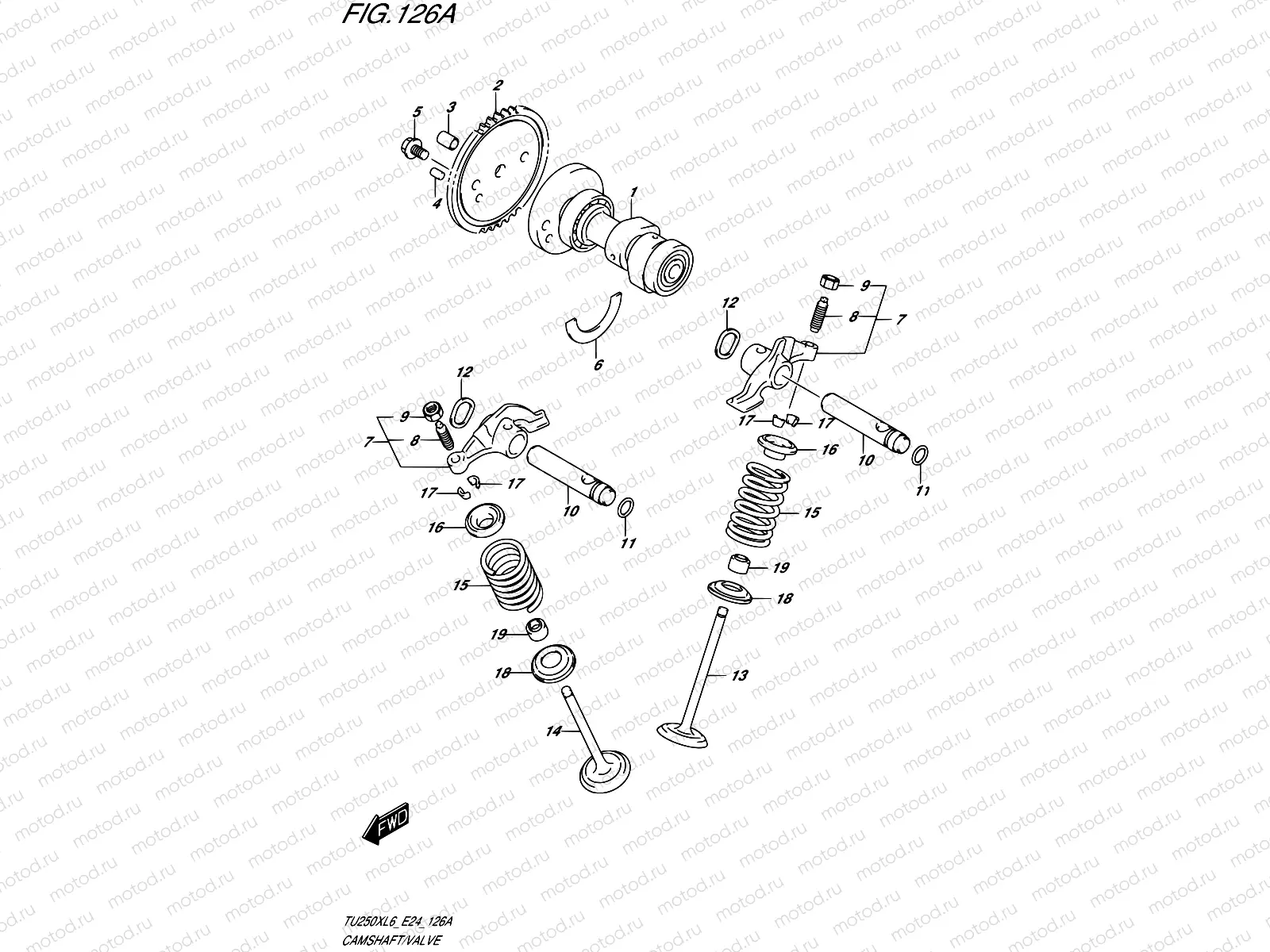 126A - CAMSHAFT/VALVE