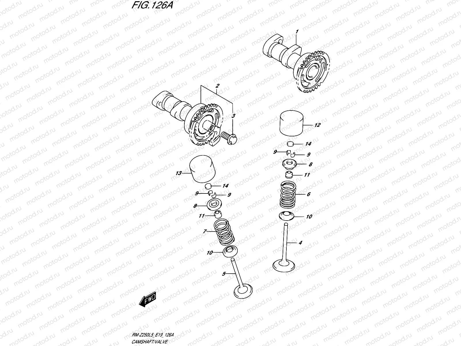 126A - CAMSHAFT/VALVE