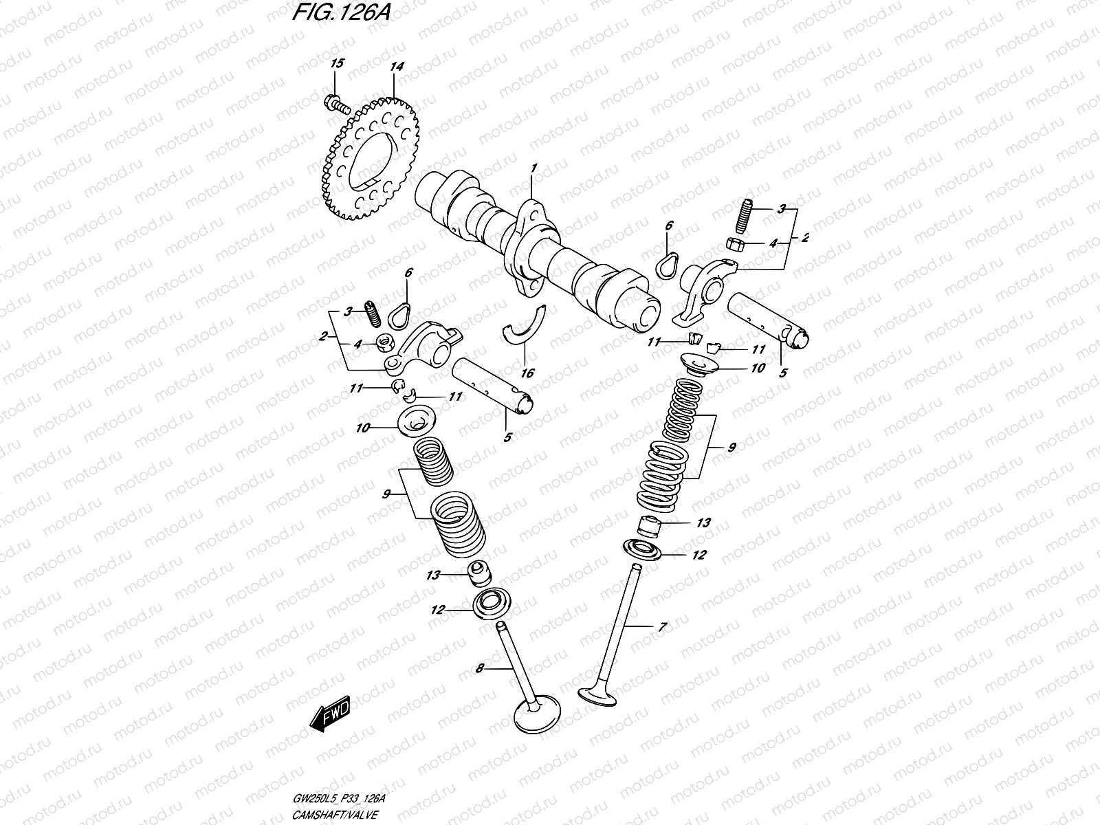 126A - CAMSHAFT/VALVE