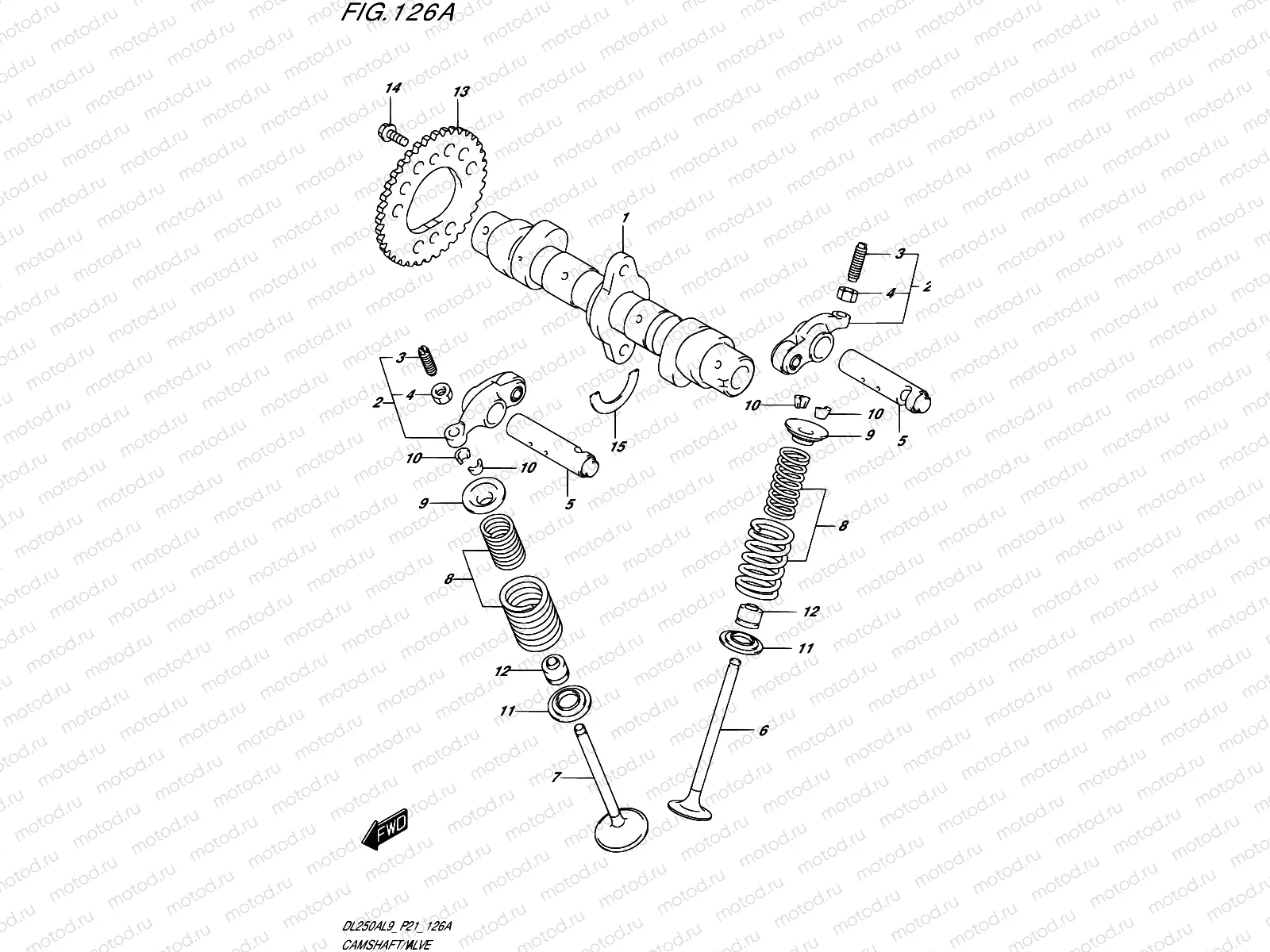 126A - CAMSHAFT/VALVE