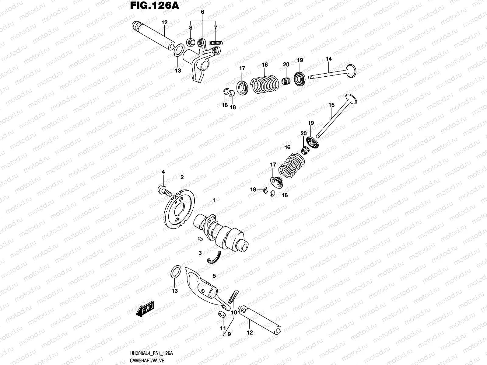 126A - CAMSHAFT/VALVE