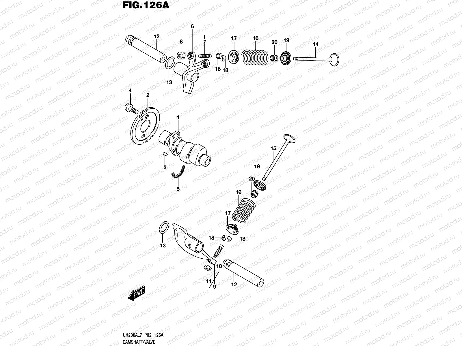 126A - CAMSHAFT/VALVE