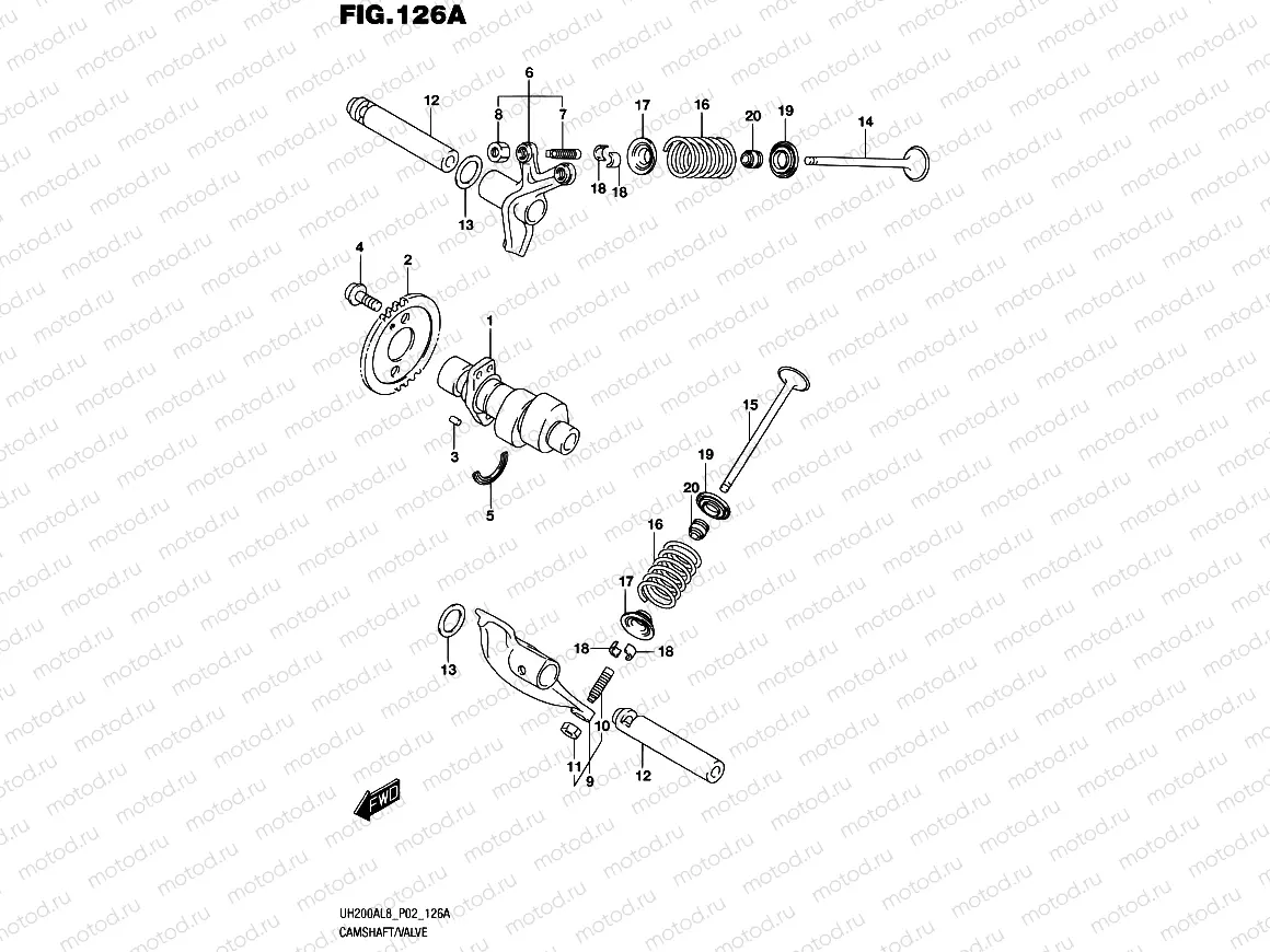 126A - CAMSHAFT/VALVE
