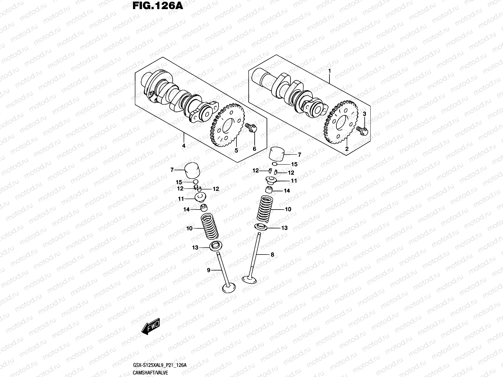 126A - CAMSHAFT/VALVE