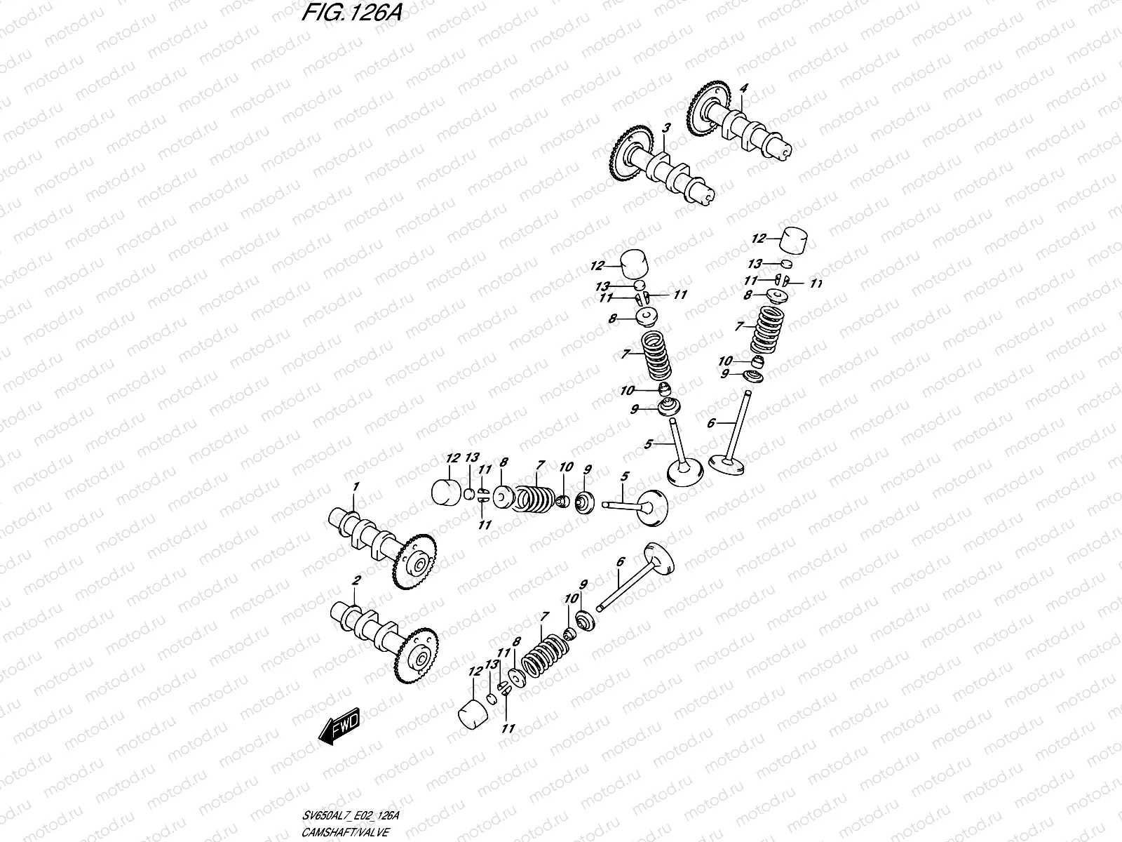 126A - CAMSHAFT/VALVE