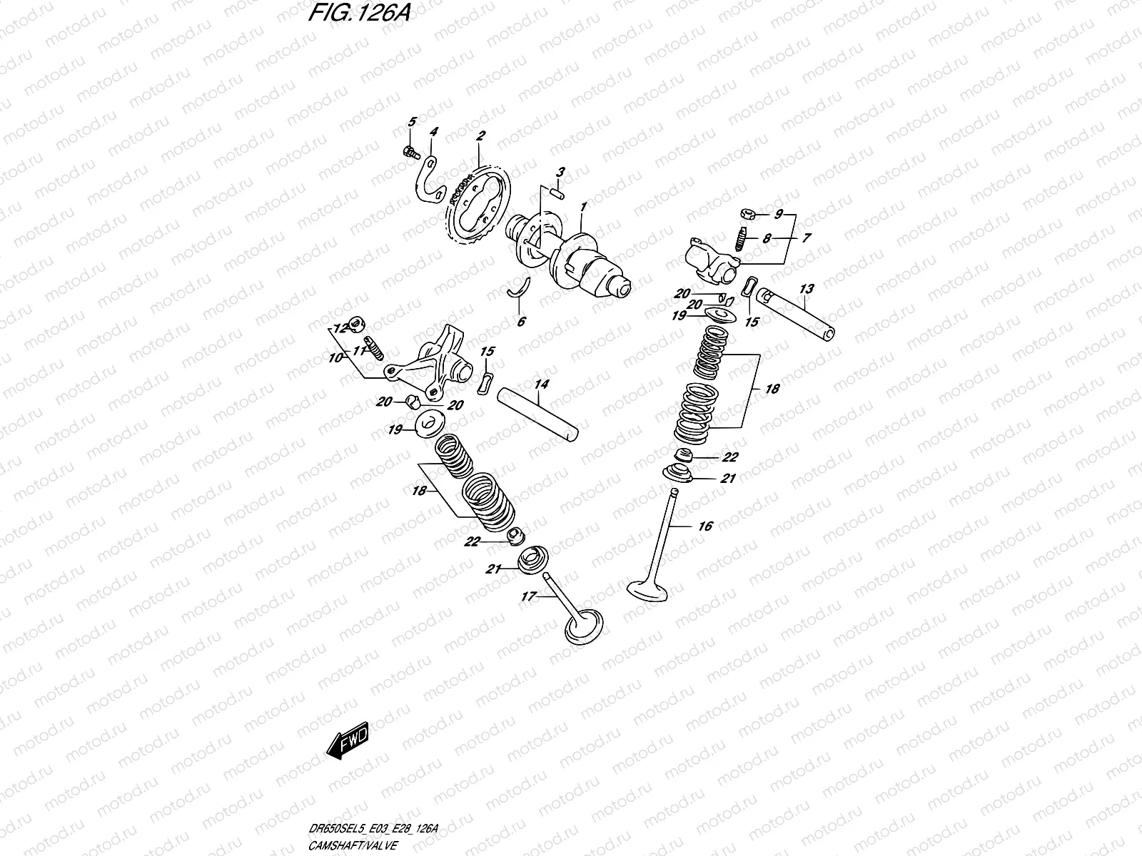 126A - CAMSHAFT/VALVE