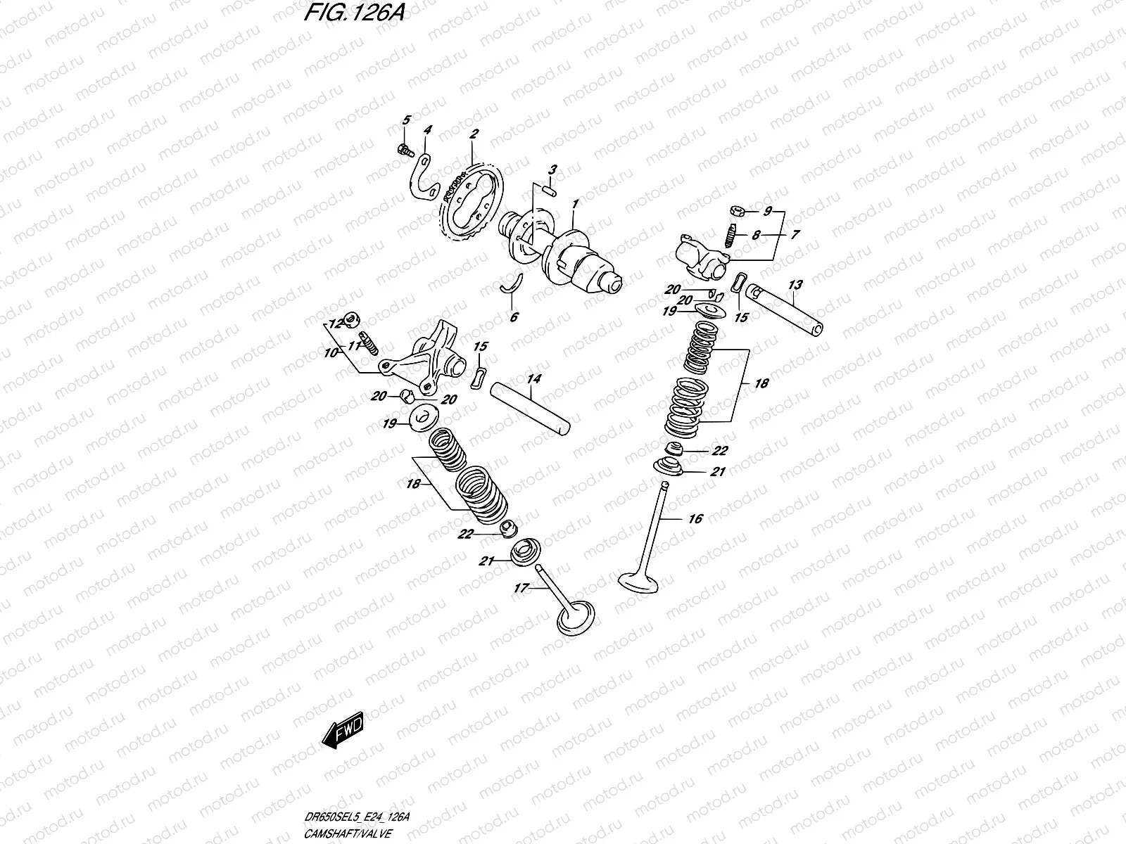 126A - CAMSHAFT/VALVE