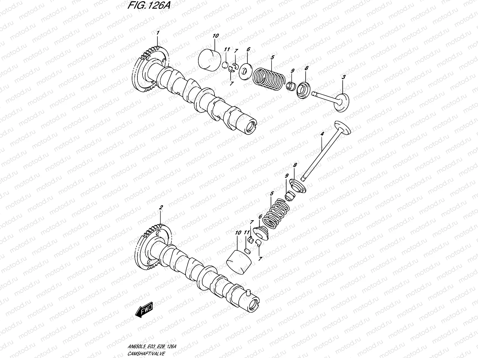 126A - CAMSHAFT/VALVE
