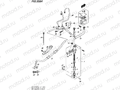 126A - CAMSHAFT/VALVE