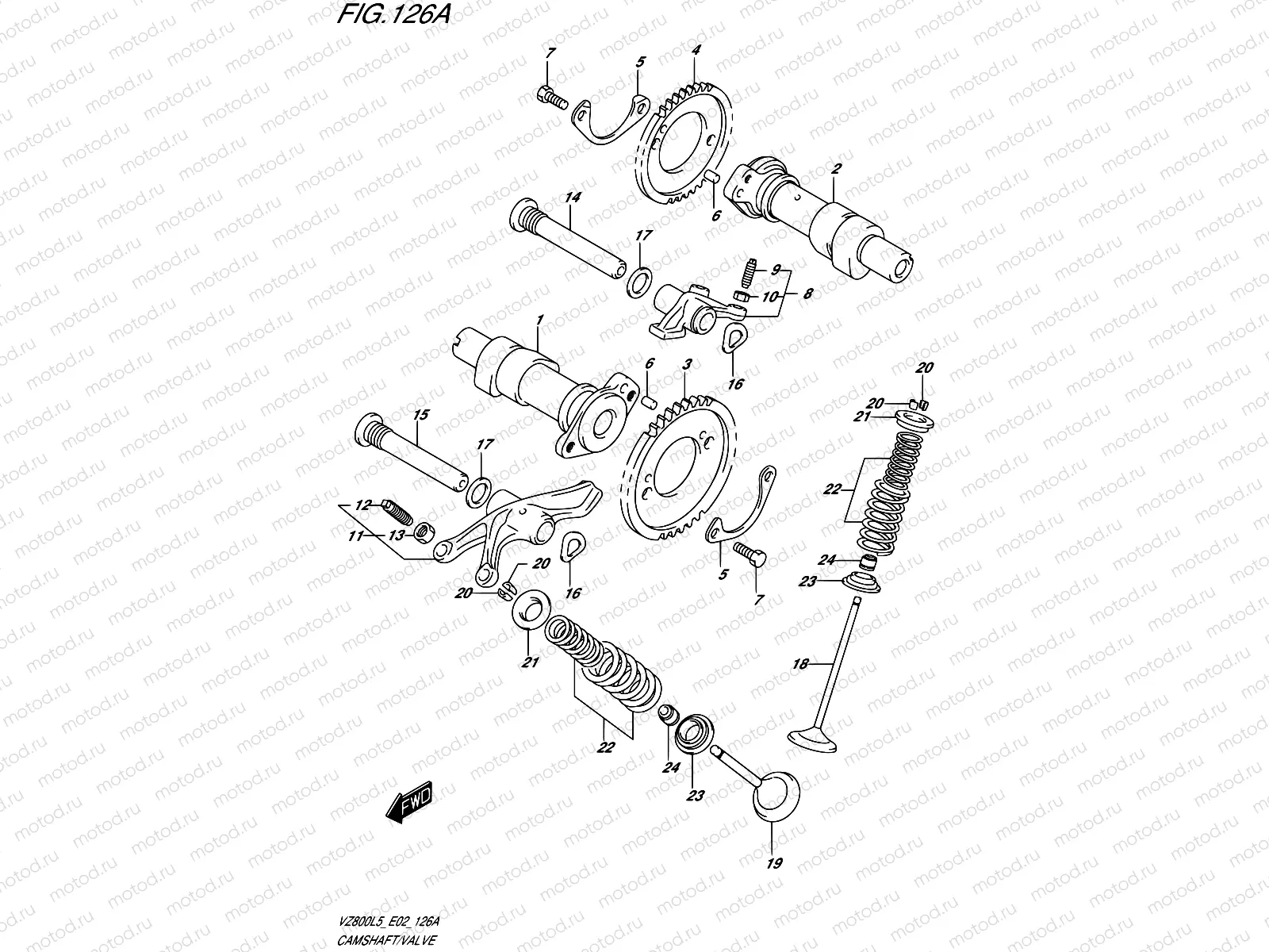 126A - CAMSHAFT/VALVE