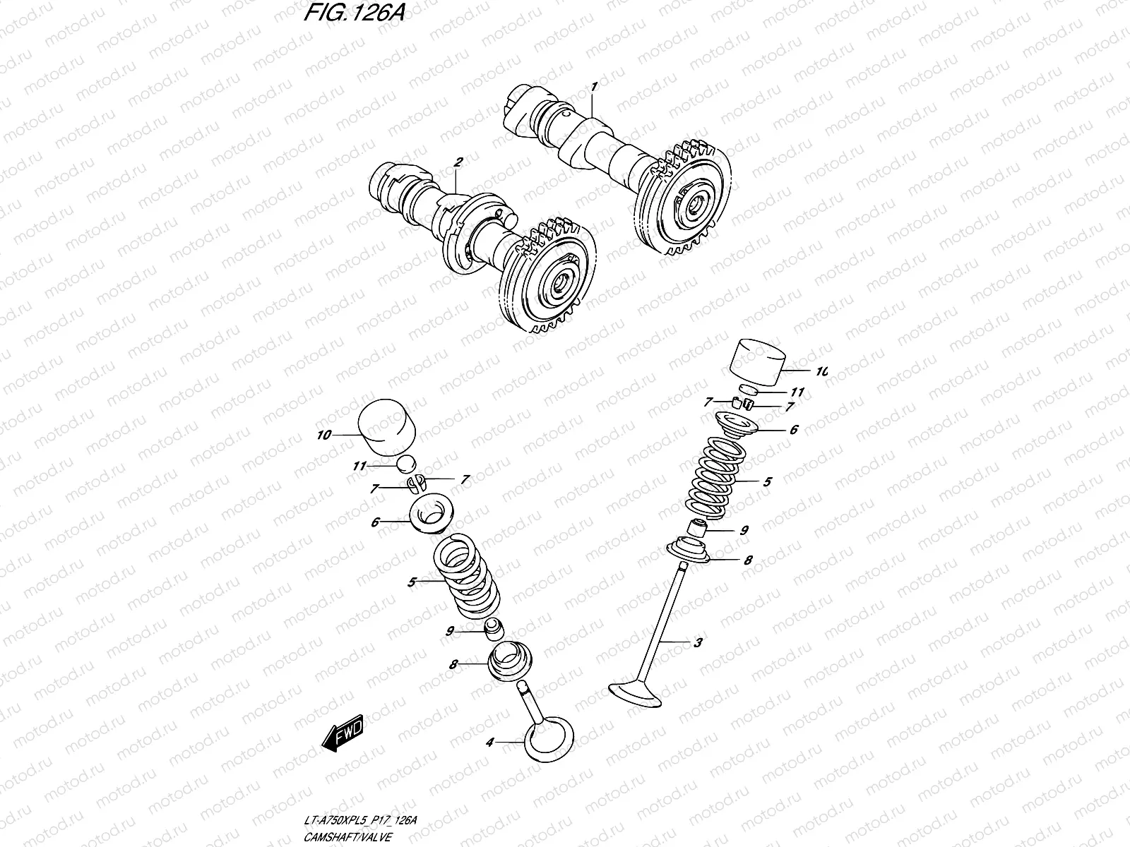 126A - CAMSHAFT/VALVE