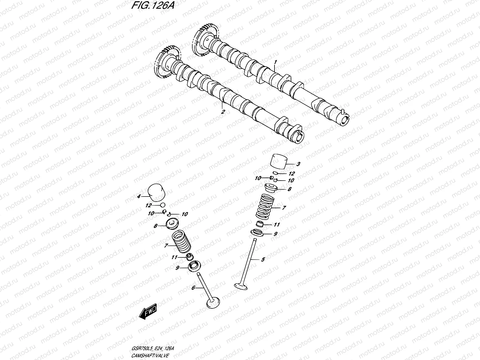 126A - CAMSHAFT/VALVE