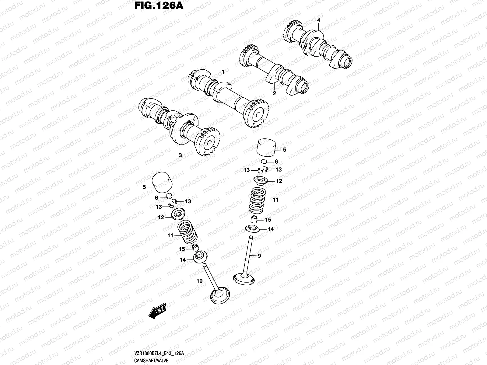 126A - CAMSHAFT/VALVE