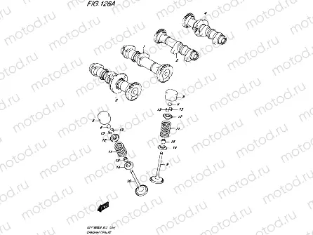 126A - CAMSHAFT/VALVE