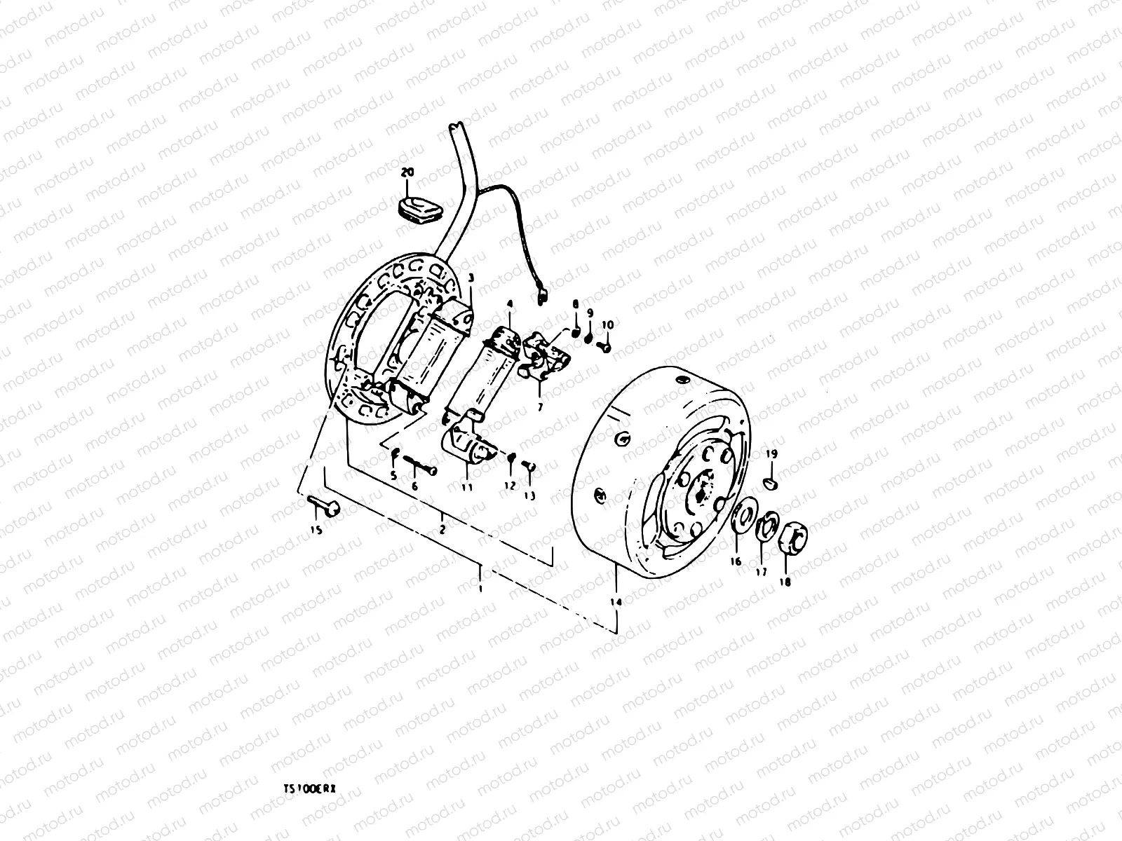 14 - MAGNETO (TS100ERX)