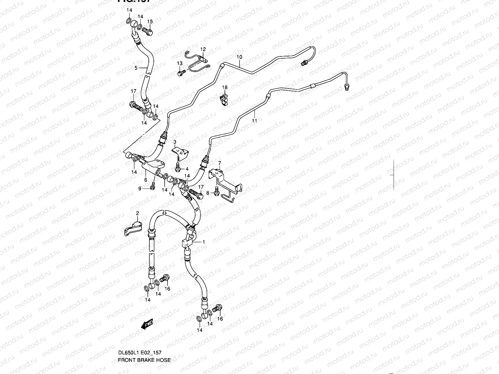 157 - FRONT BRAKE HOSE (DL650AUEL1 E19)