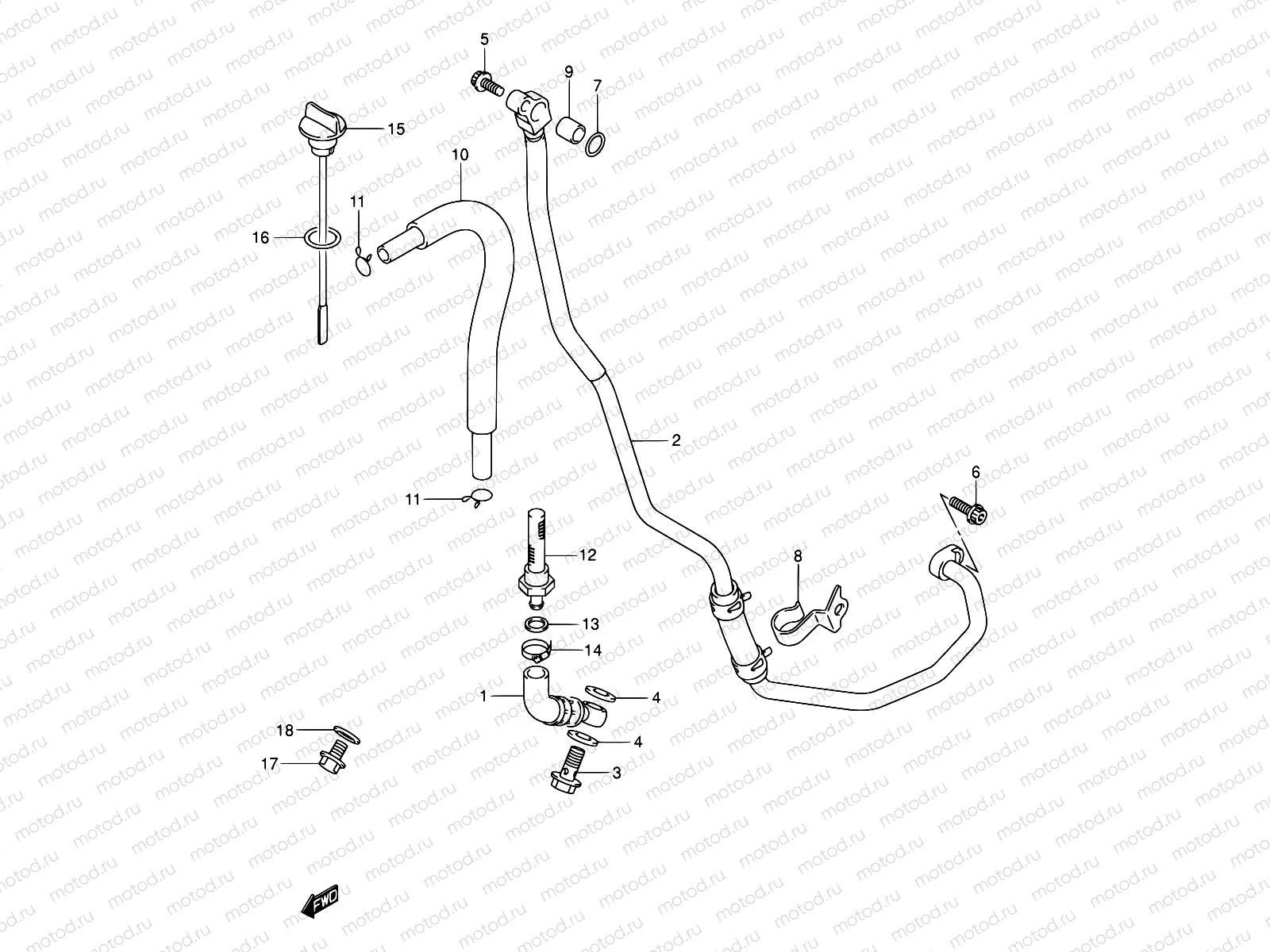 16 - OIL HOSE