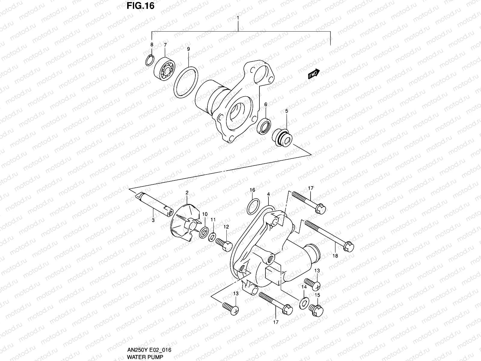 16 - WATER PUMP