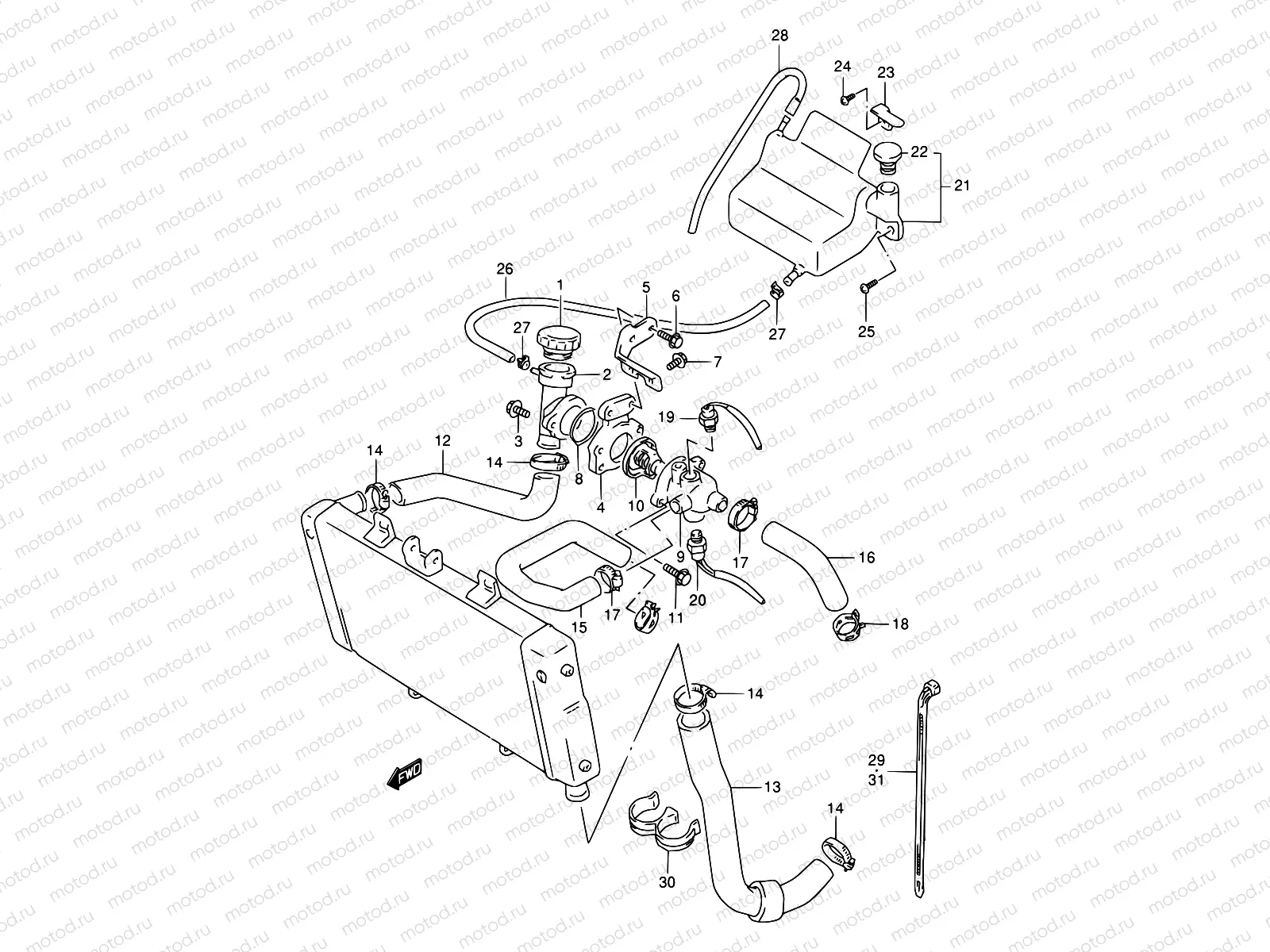 17 - RADIATOR HOSE
