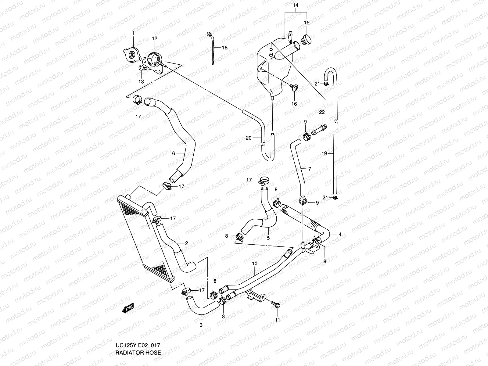 17 - RADIATOR HOSE