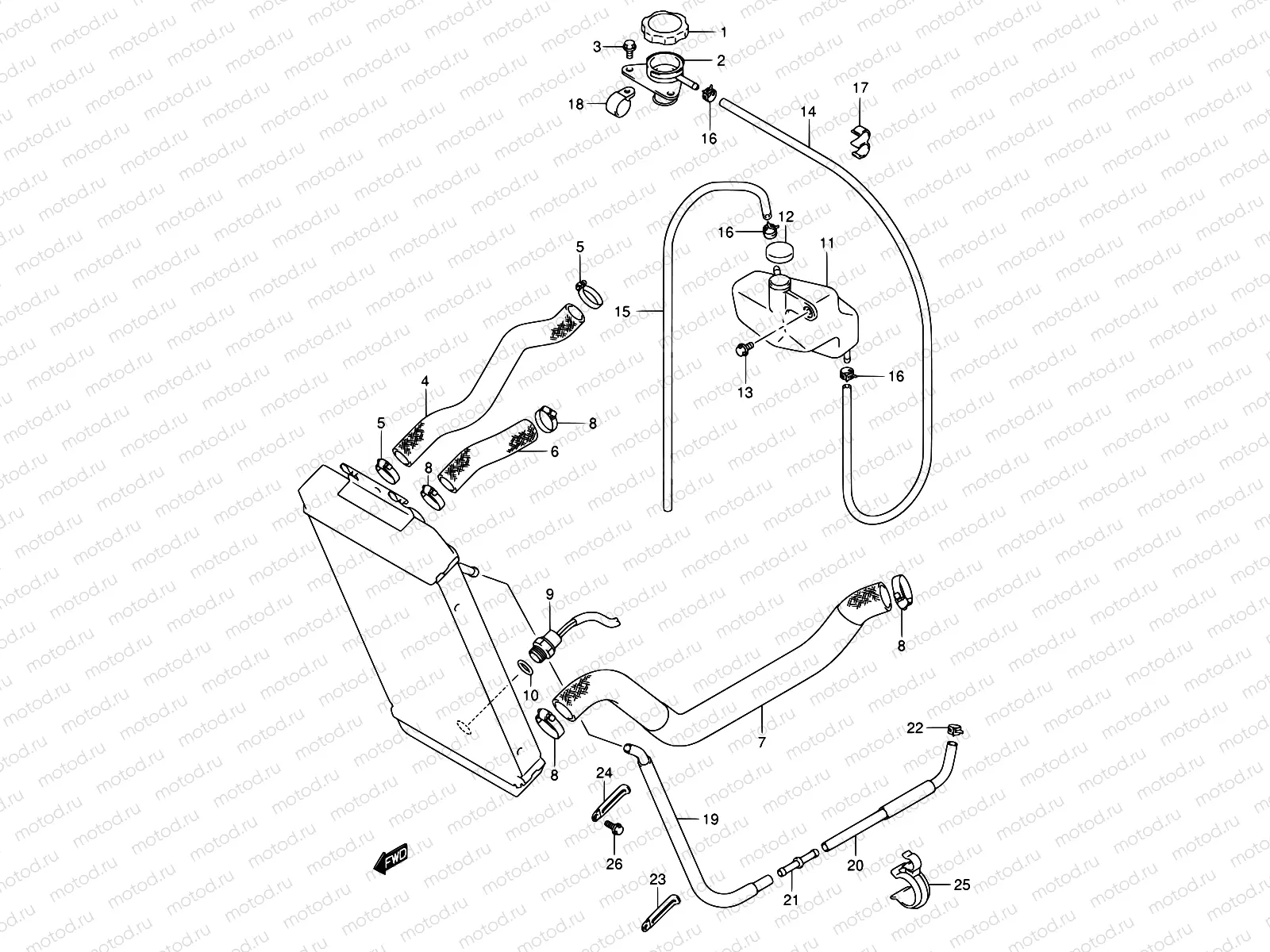 17 - RADIATOR HOSE
