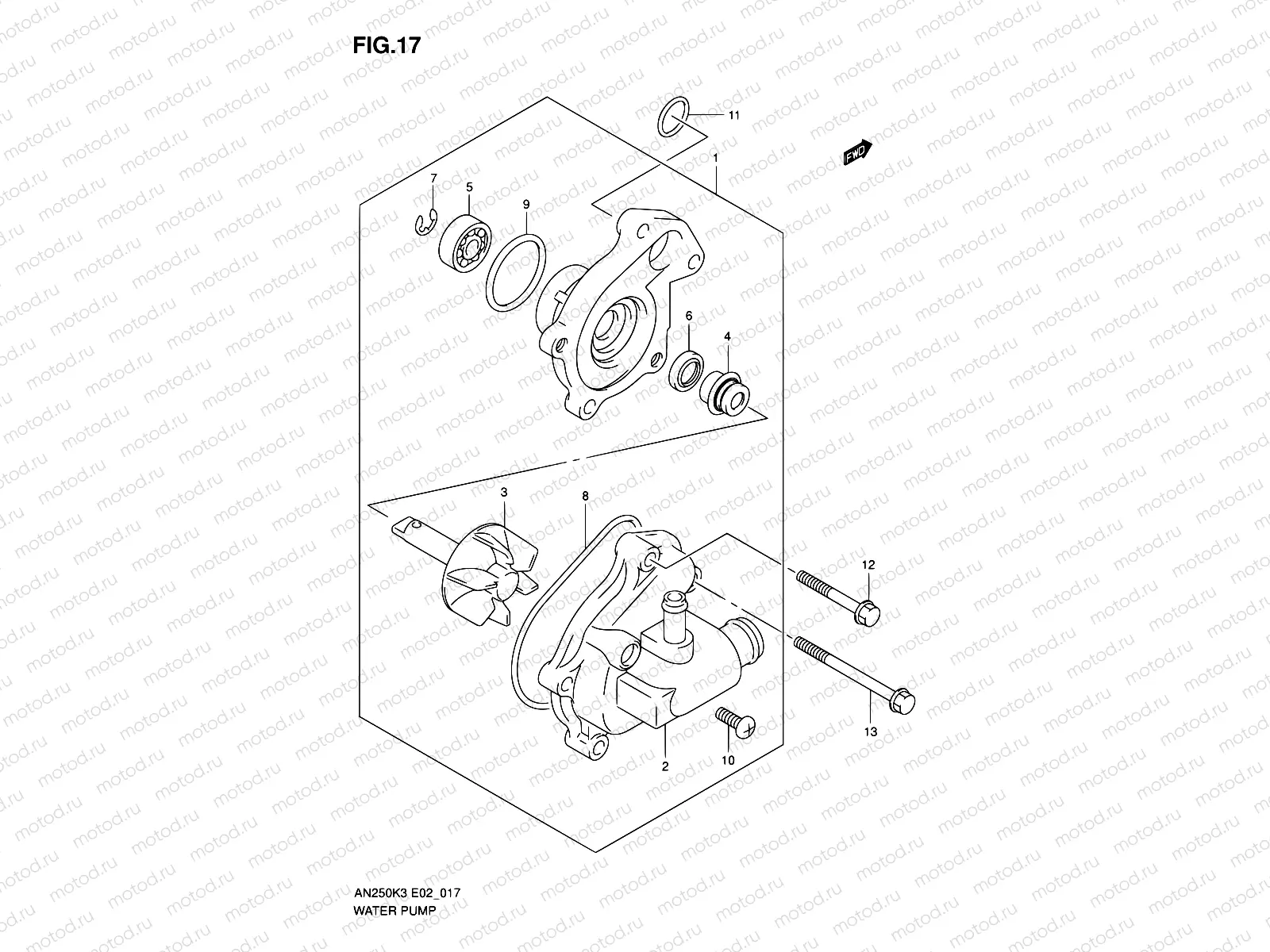 17 - WATER PUMP