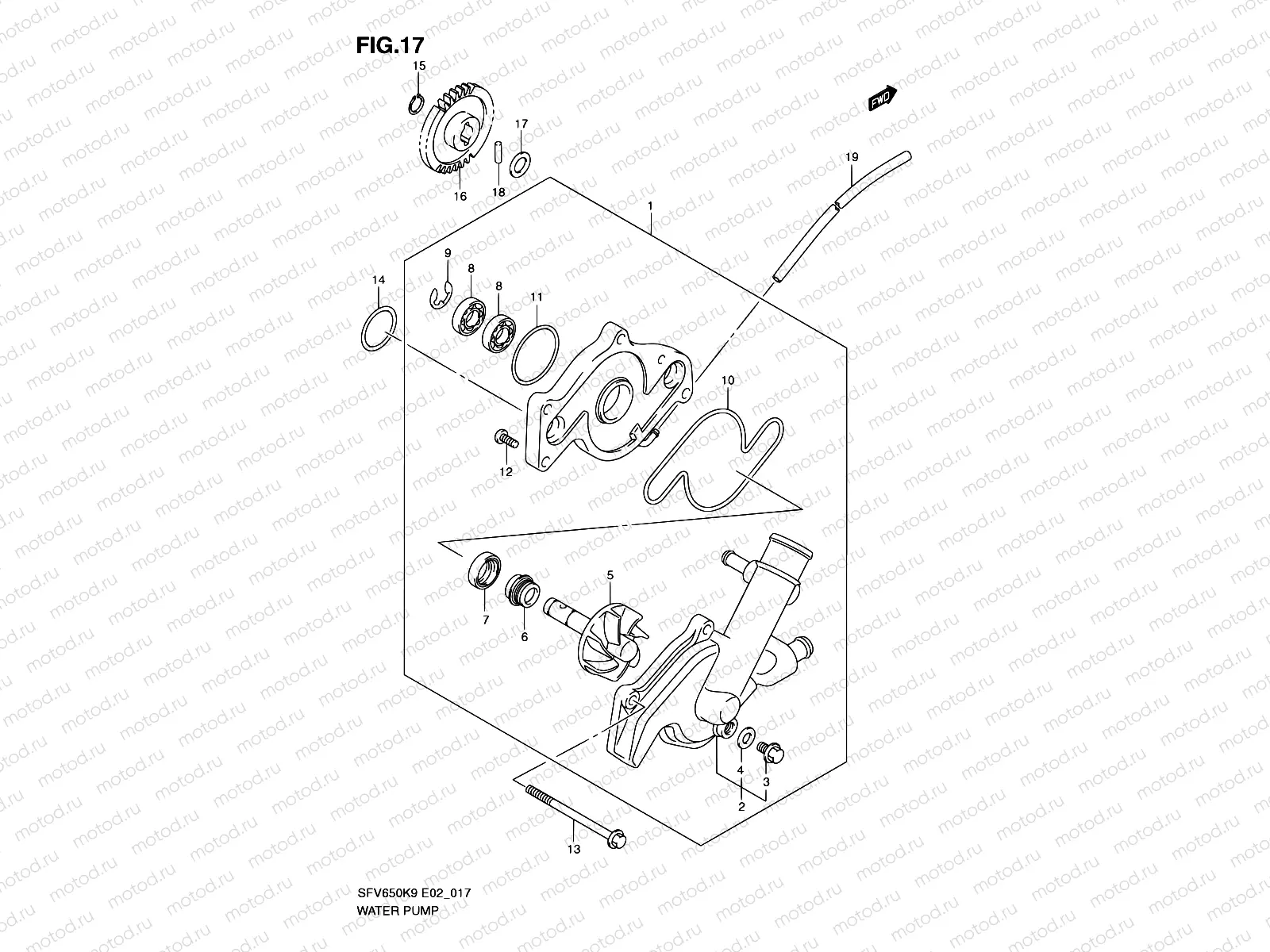 17 - WATER PUMP