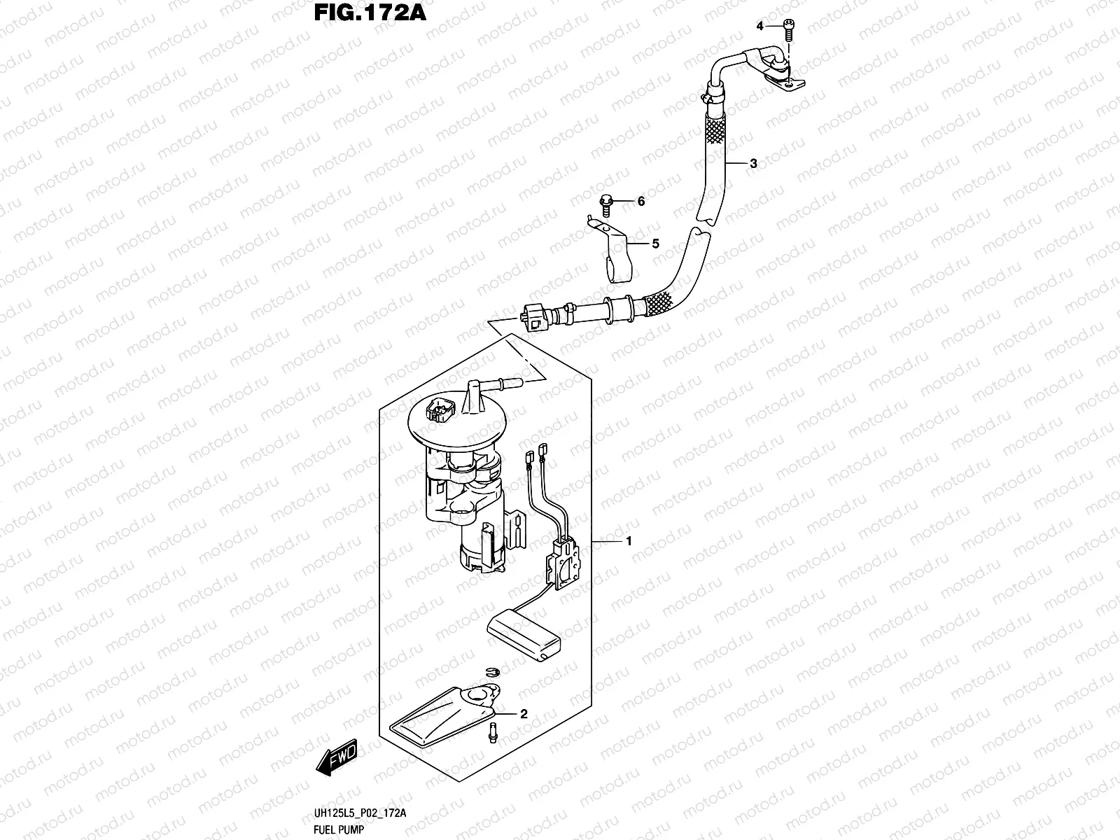 172A - FUEL PUMP