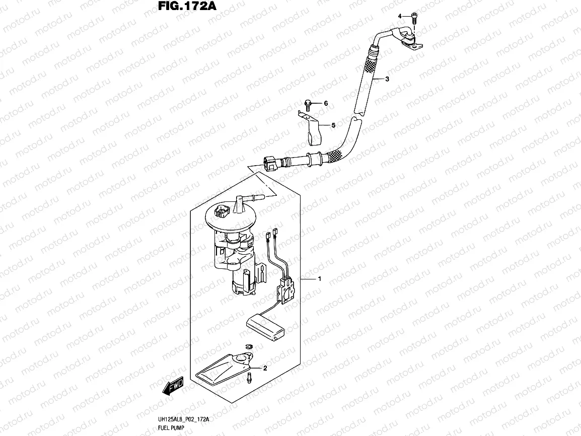 172A - FUEL PUMP