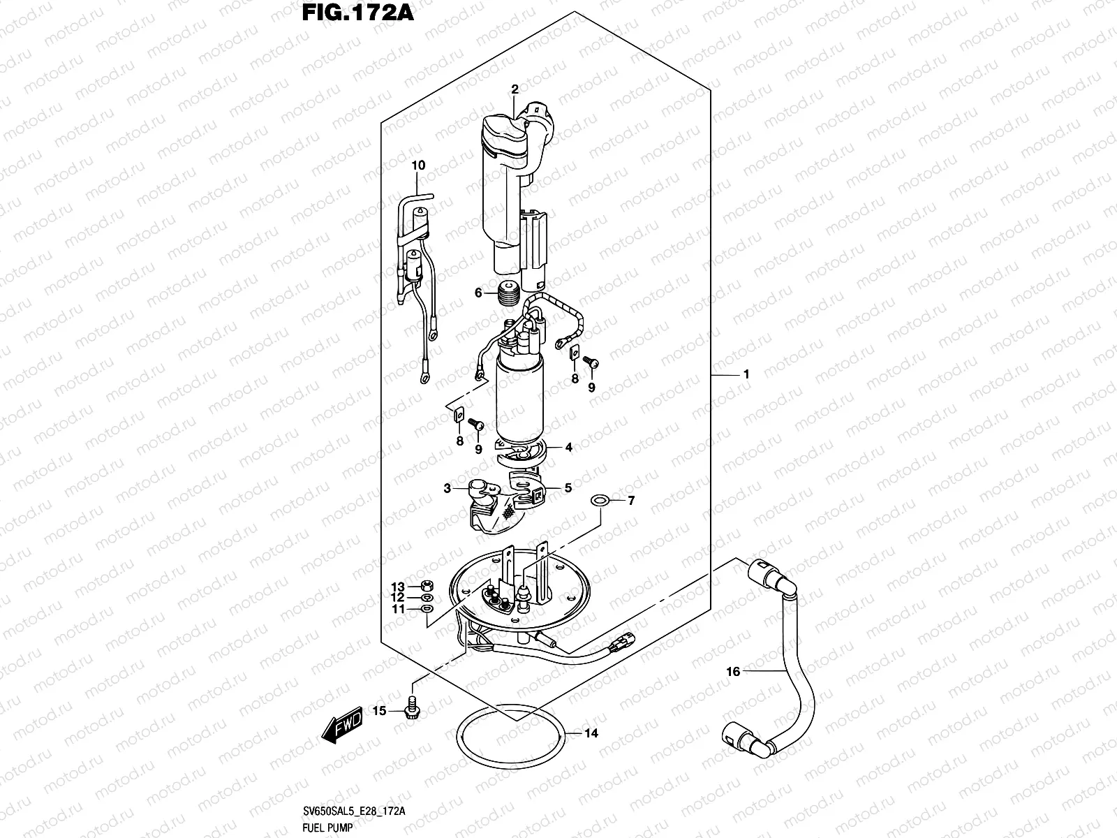 172A - FUEL PUMP