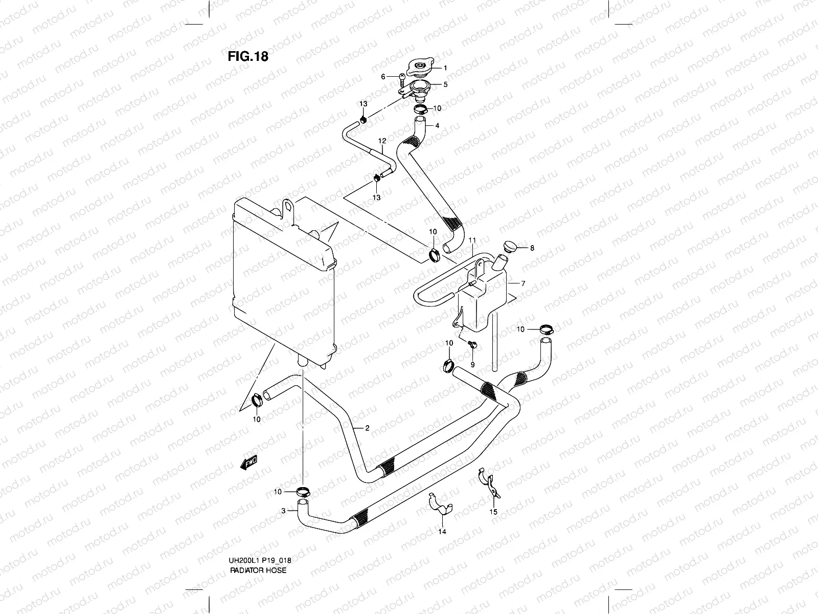 18 - RADIATOR HOSE