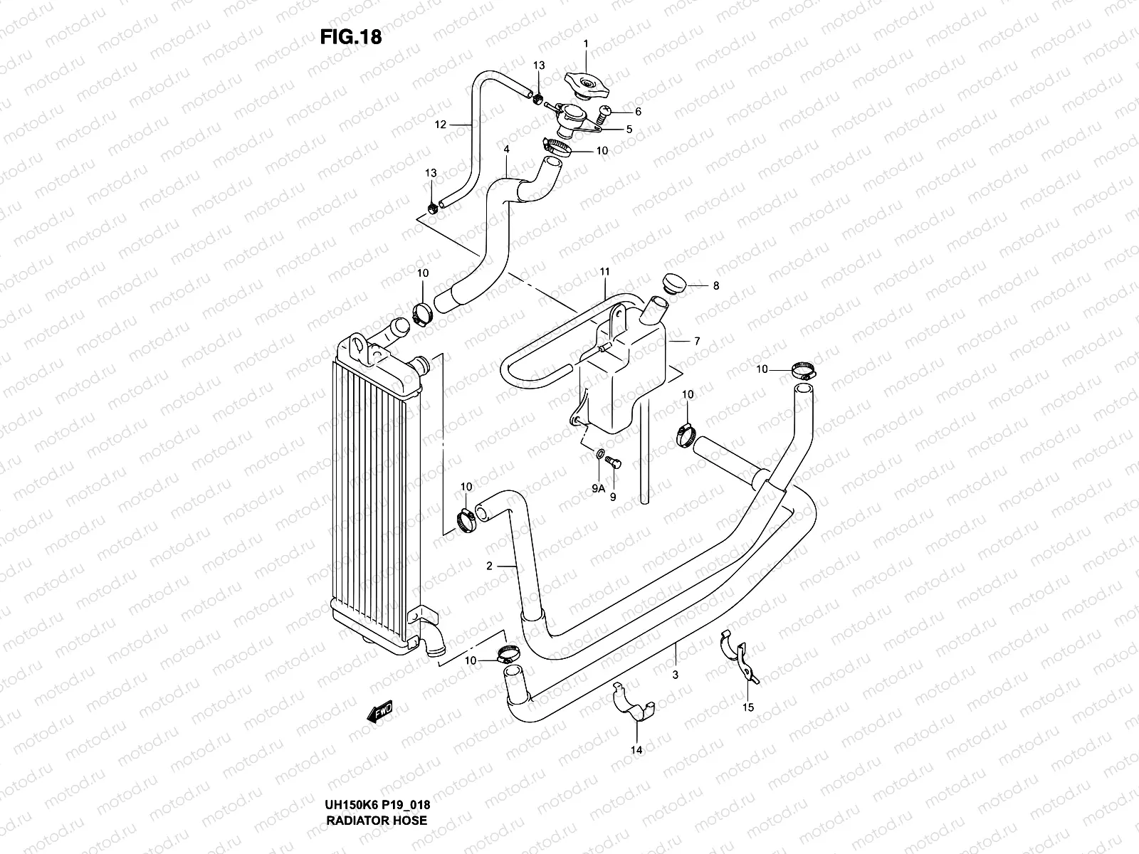 18 - RADIATOR HOSE