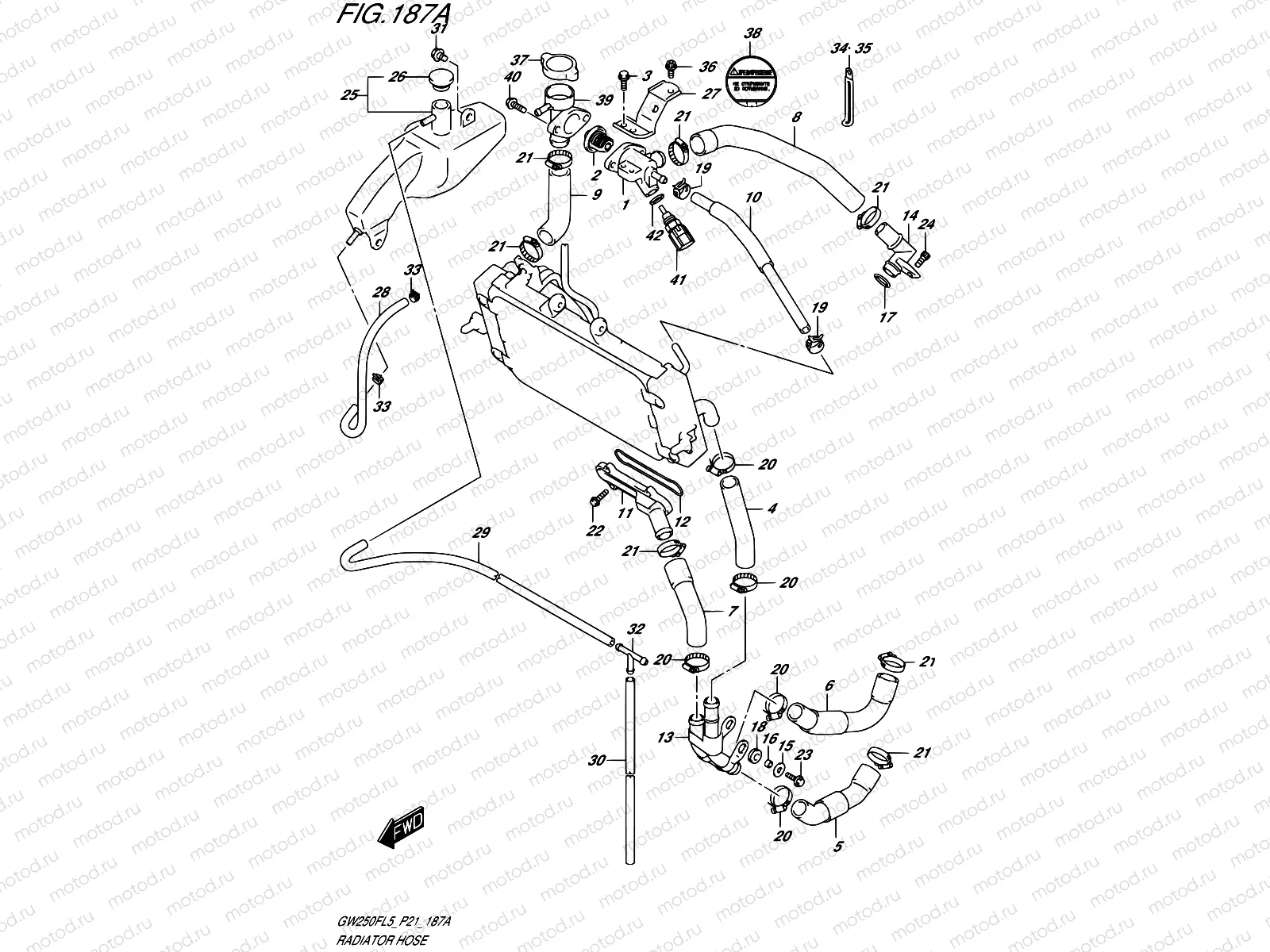 187A - RADIATOR HOSE