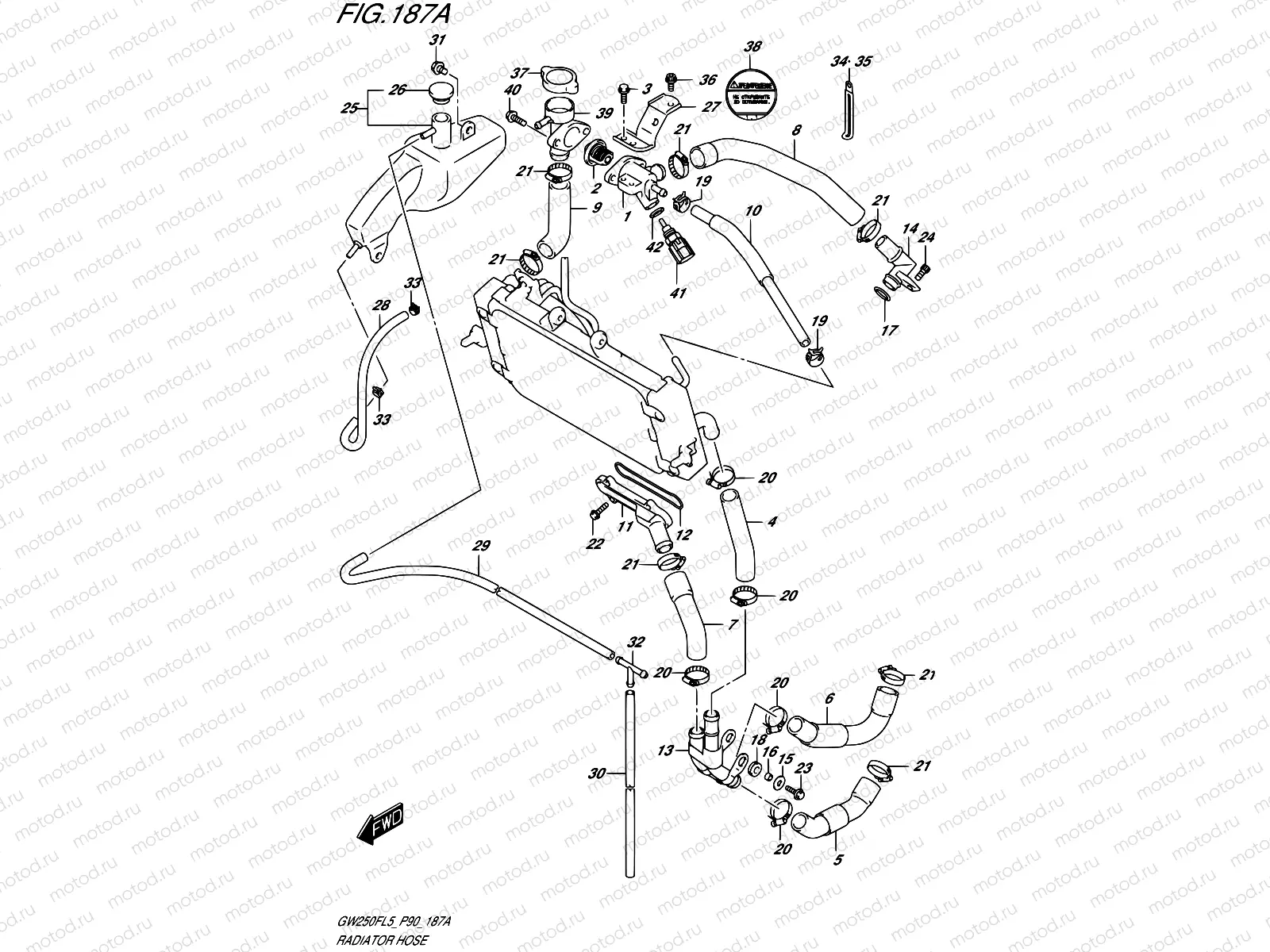 187A - RADIATOR HOSE