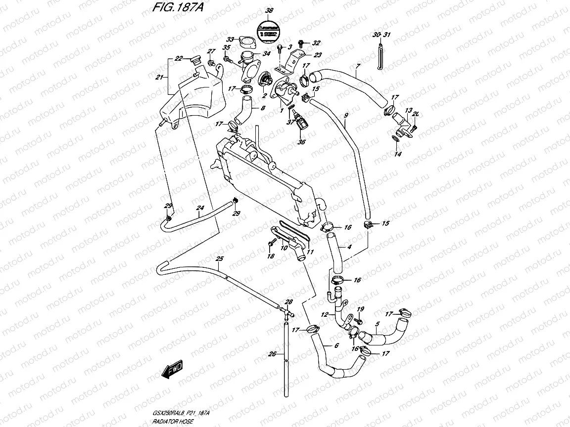 187A - RADIATOR HOSE