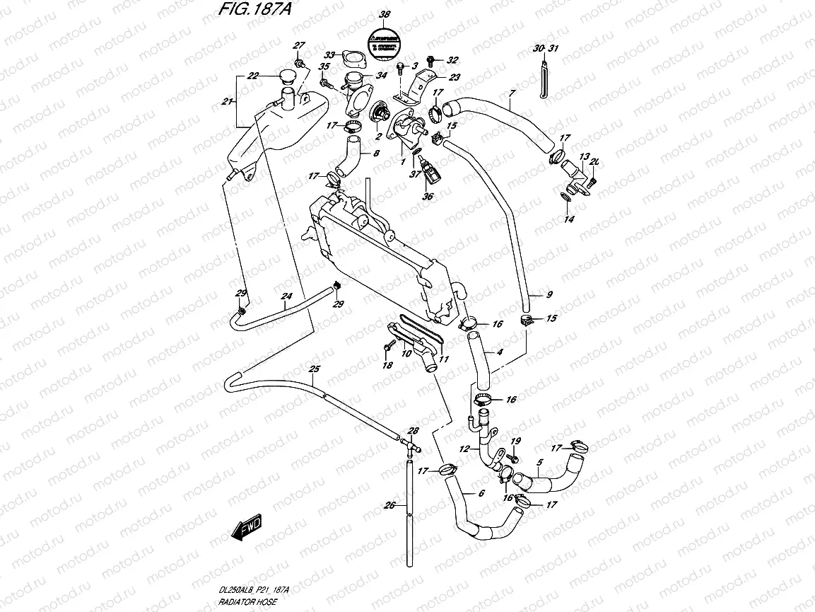 187A - RADIATOR HOSE