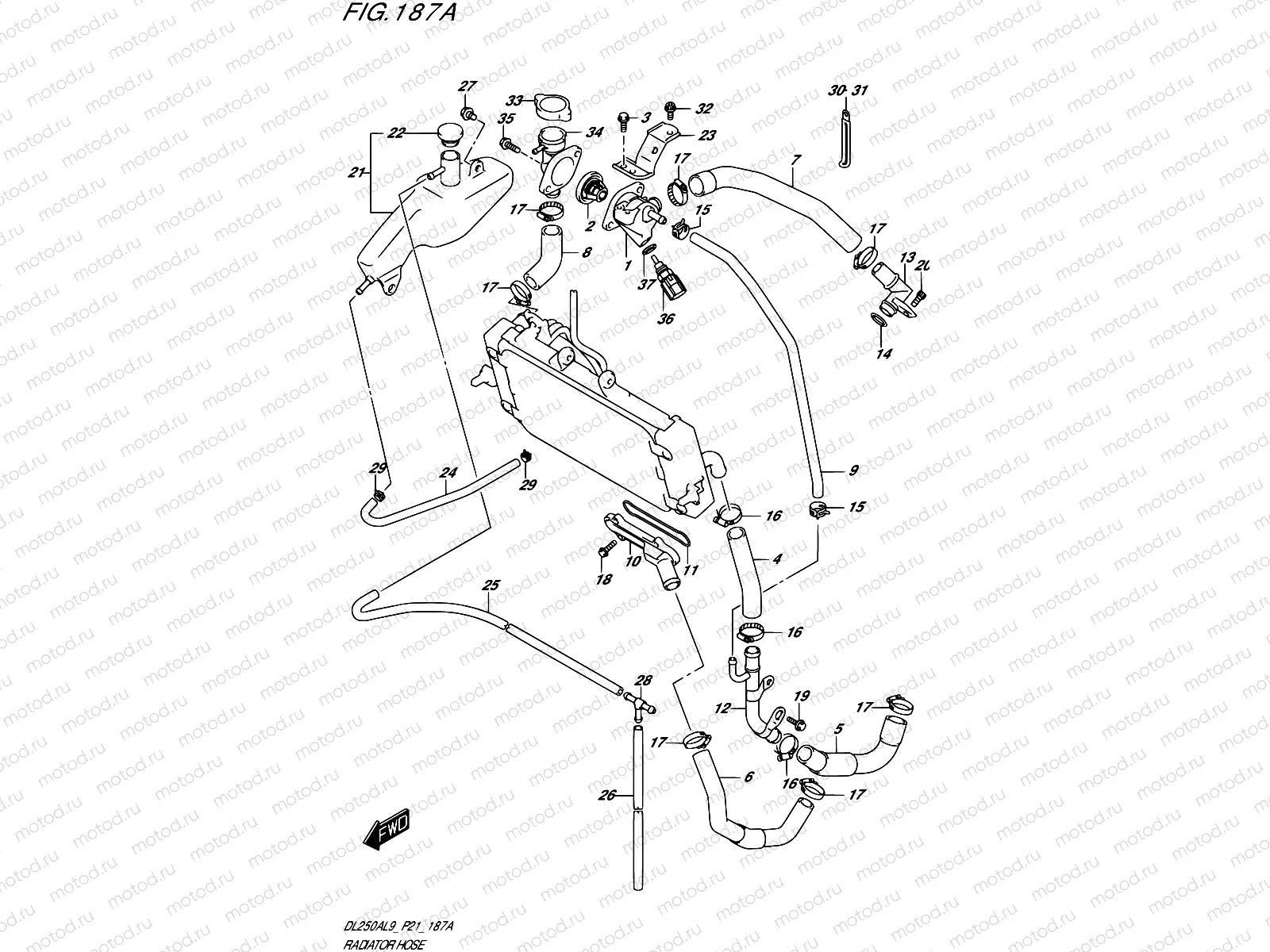 187A - RADIATOR HOSE