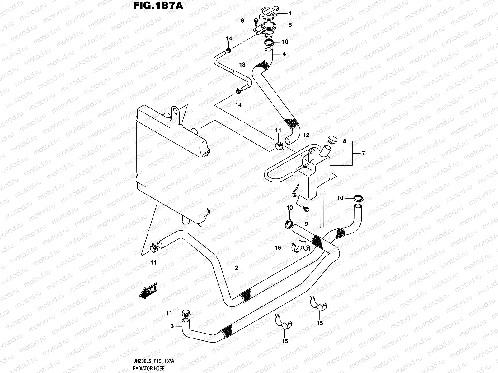 187A - RADIATOR HOSE
