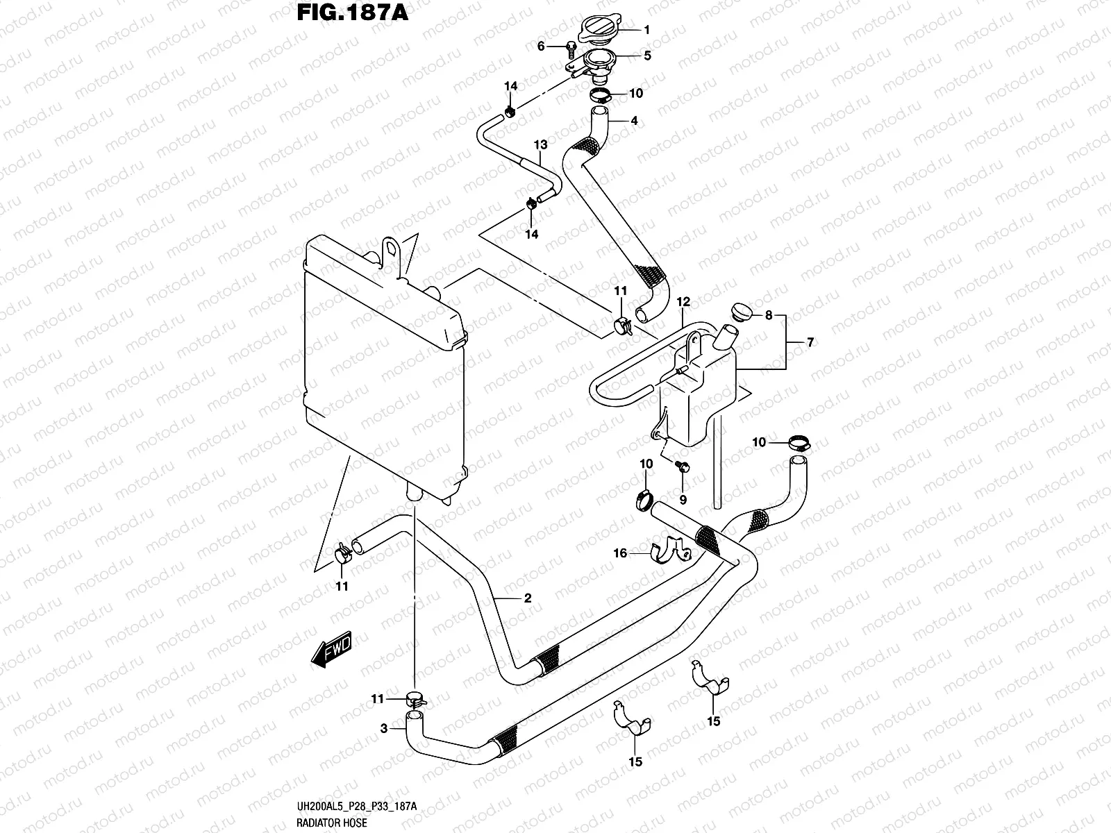 187A - RADIATOR HOSE