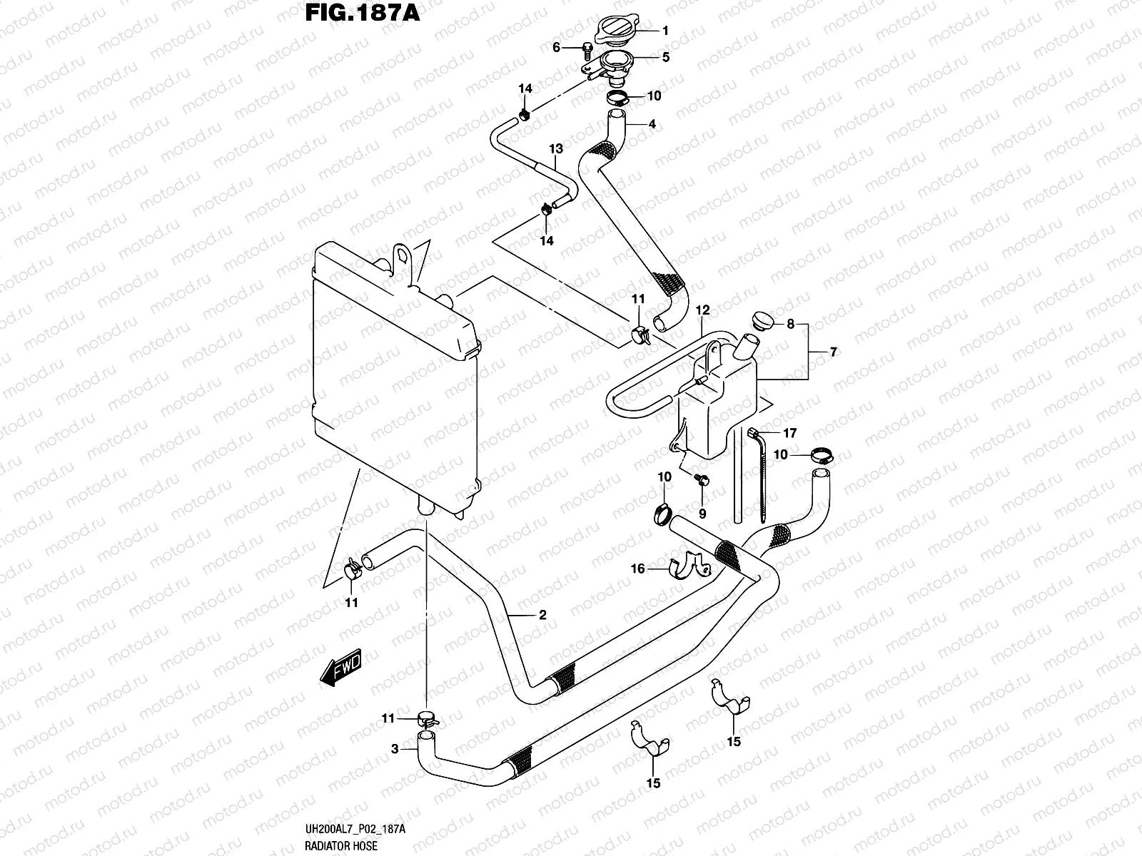 187A - RADIATOR HOSE
