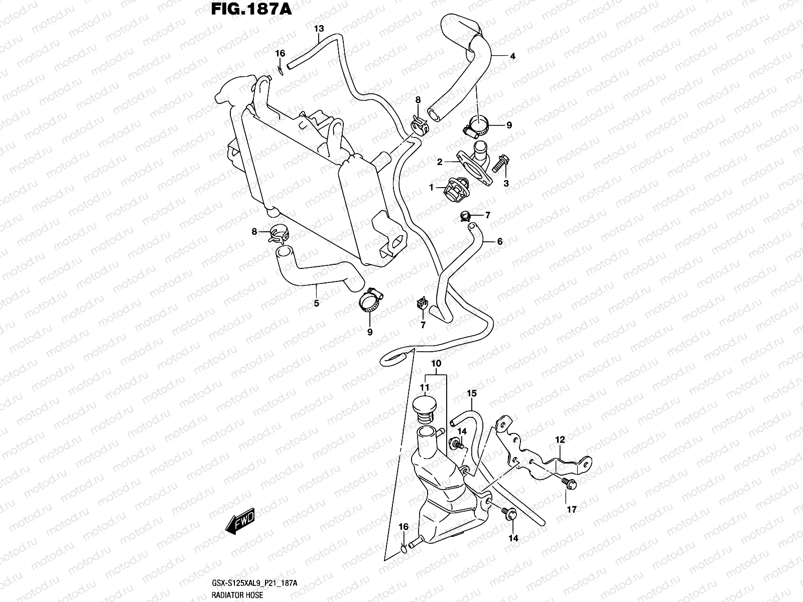187A - RADIATOR HOSE