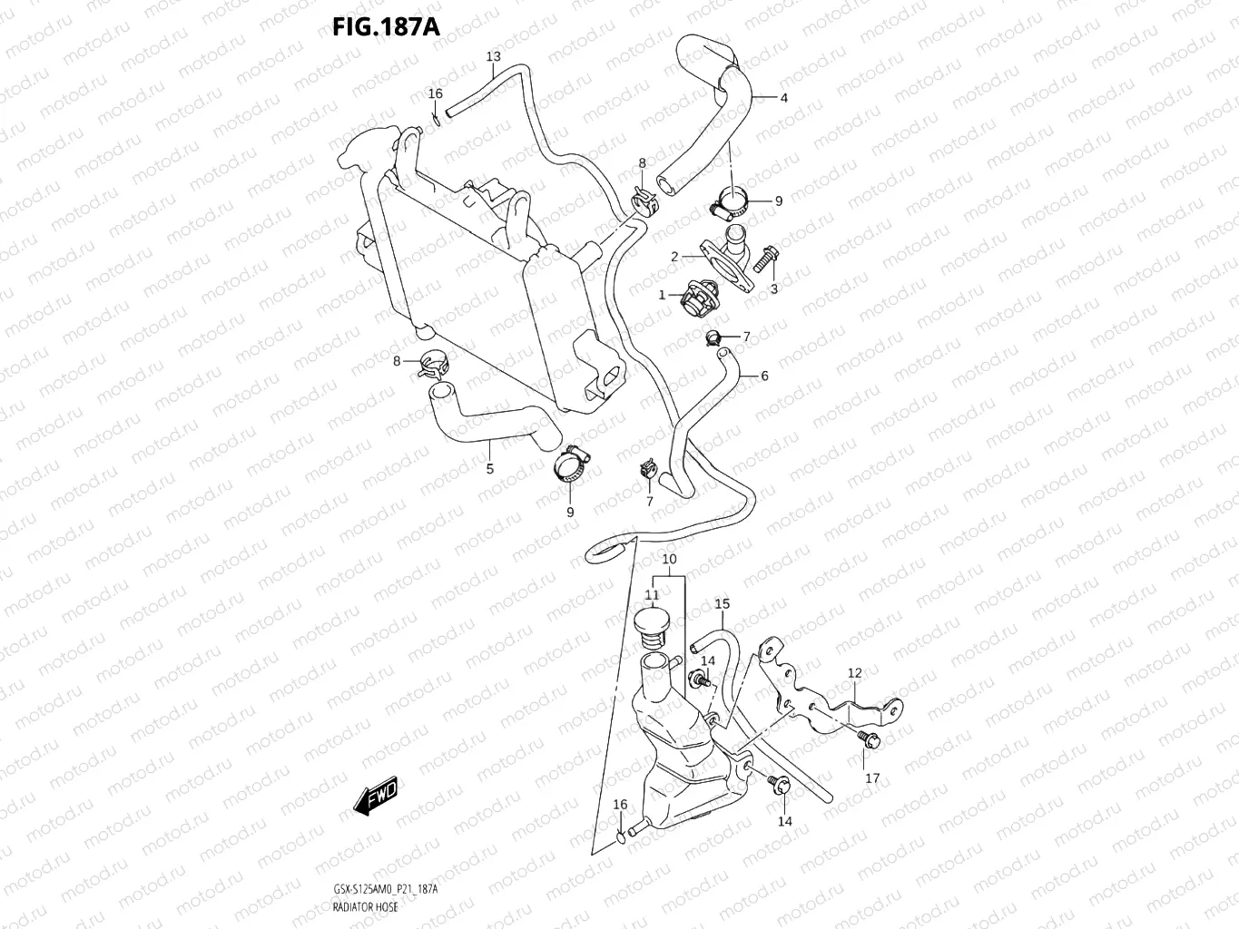 187A - RADIATOR HOSE