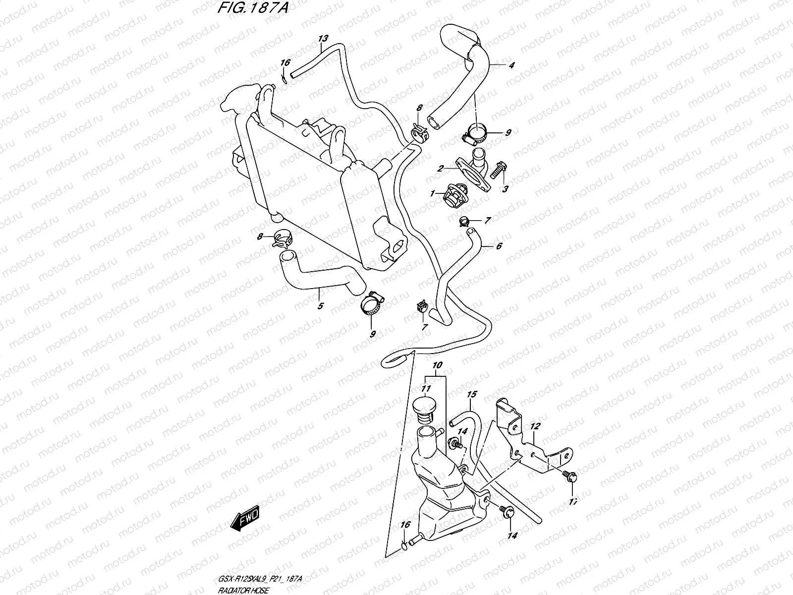 187A - RADIATOR HOSE